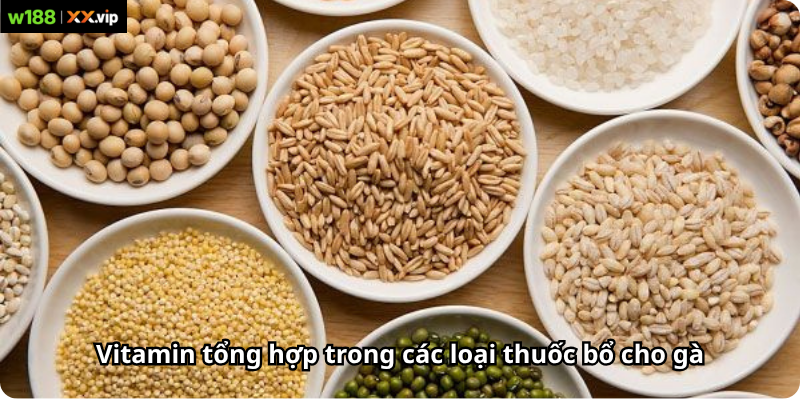 Vitamin tổng hợp trong các loại thuốc bổ cho gà