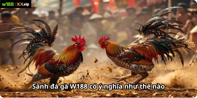 Sảnh đá gà W188 có ý nghĩa như thế nào