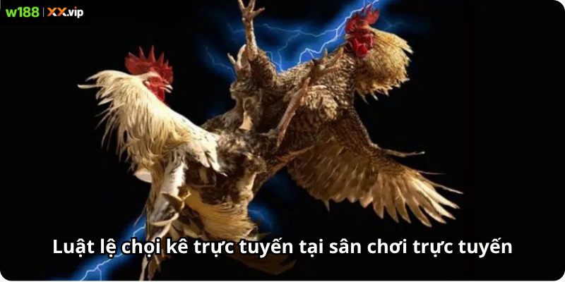 Luật lệ chọi kê trực tuyến tại sân chơi trực tuyến