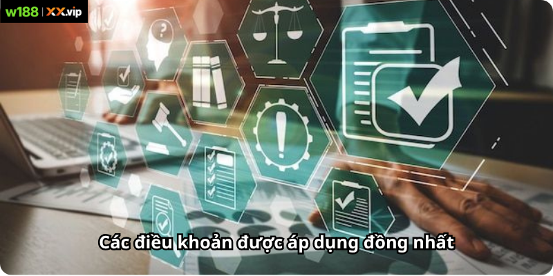 Các điều khoản được áp dụng đồng nhất