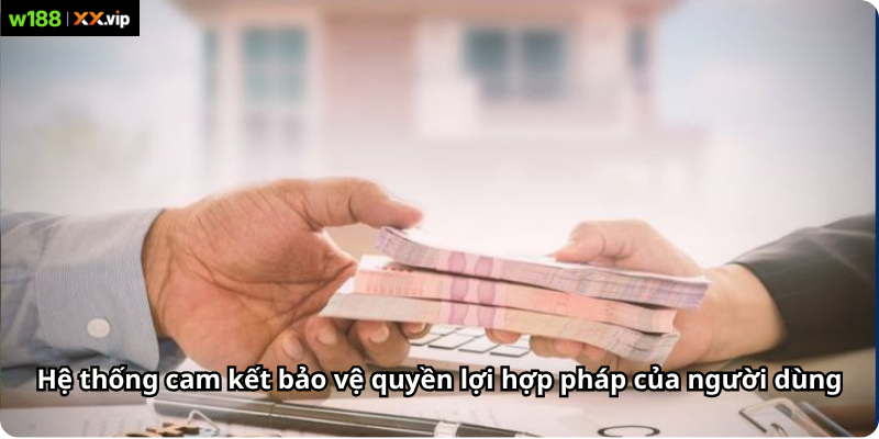 Hệ thống cam kết bảo vệ quyền lợi hợp pháp của người dùng