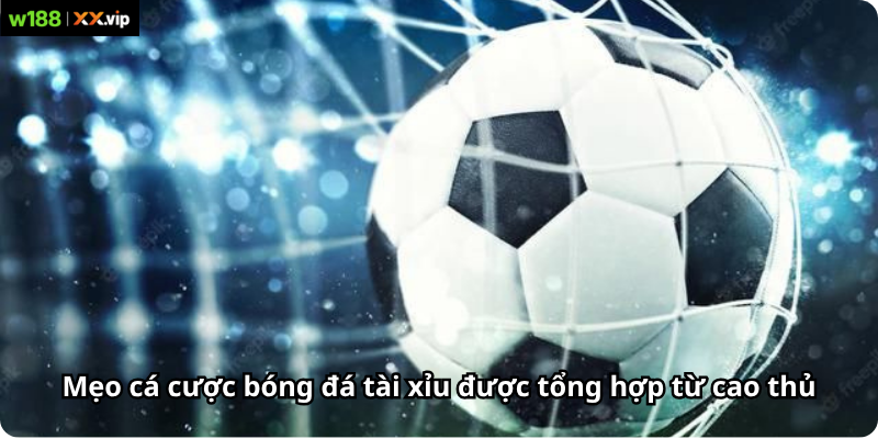 Mẹo cá cược bóng đá tài xỉu được tổng hợp từ cao thủ