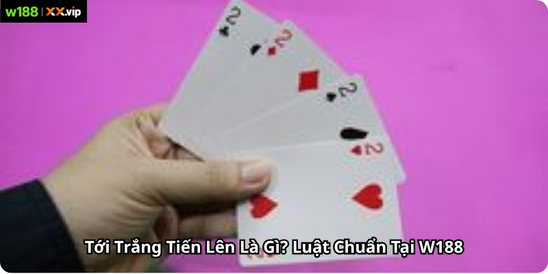 Tới Trắng Tiến Lên Là Gì? Luật Chuẩn Tại W188